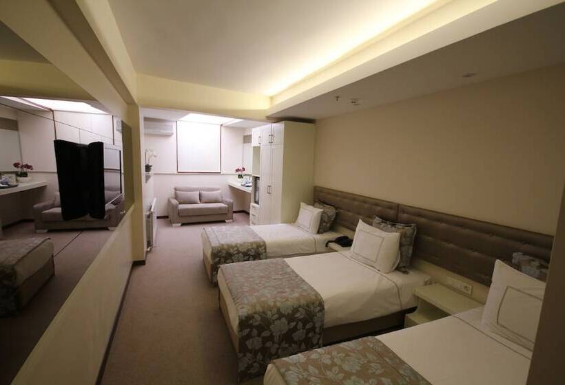 اتاق استاندارد سه نفره, Grand Washington