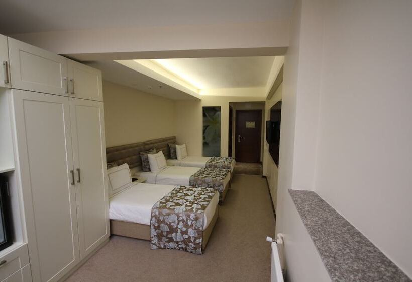 اتاق استاندارد سه نفره, Grand Washington