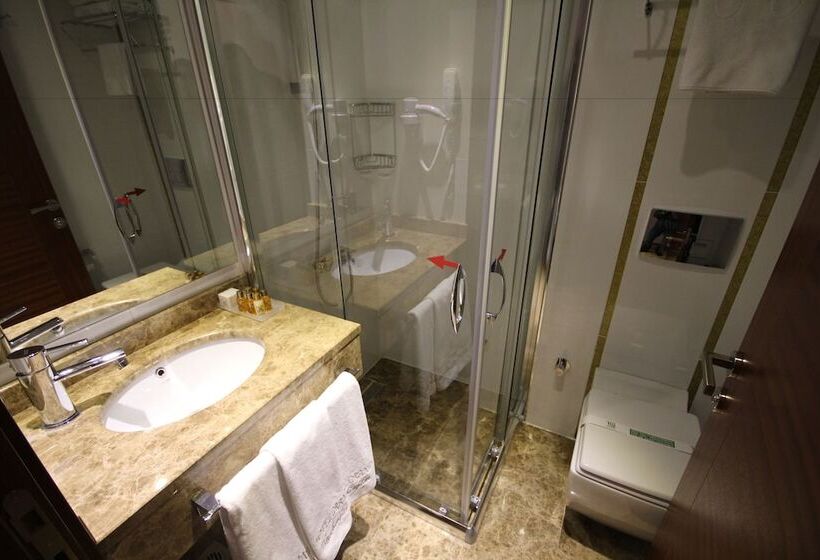 اتاق خانوادگی تودرتو, Grand Washington