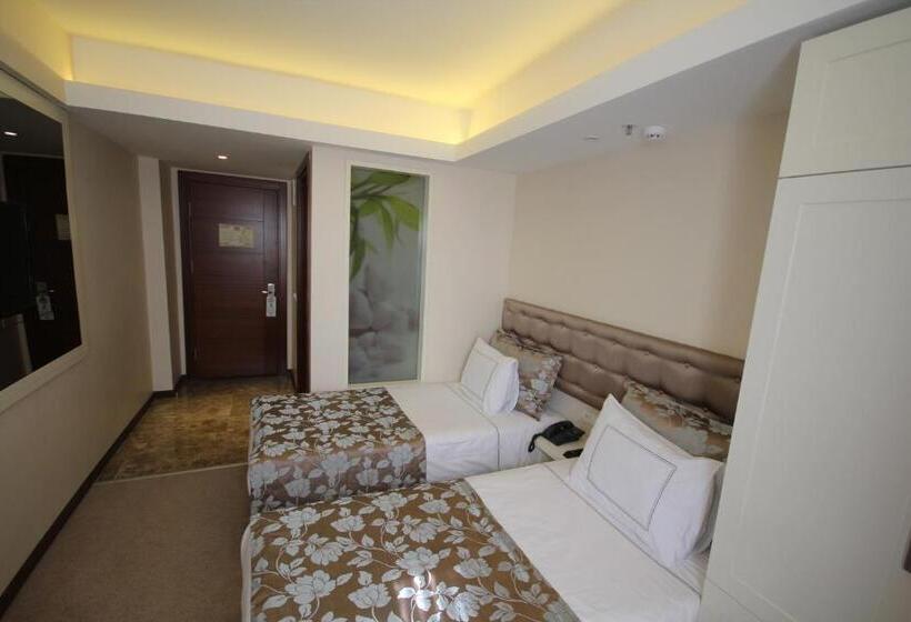 اتاق استاندارد, Grand Washington