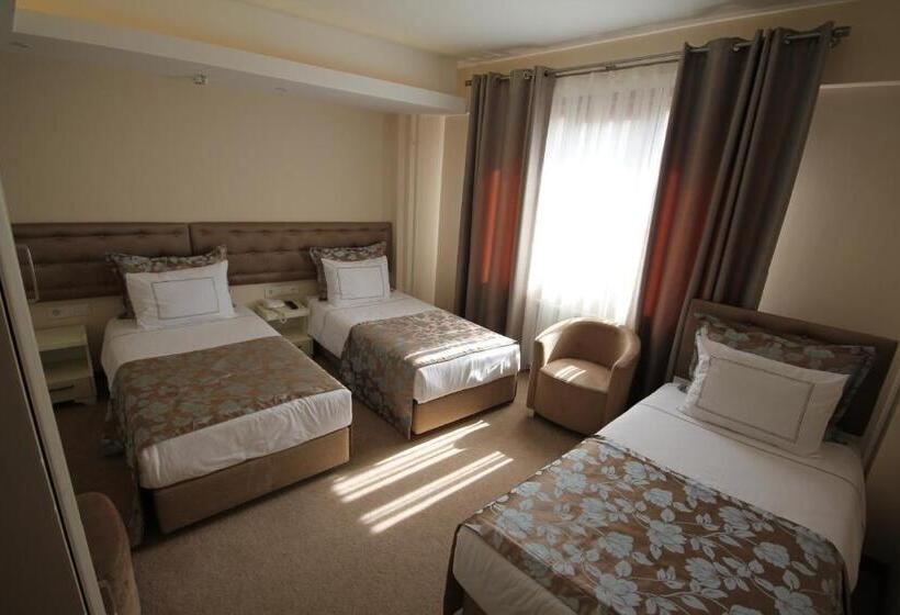 اتاق استاندارد سه نفره, Grand Washington
