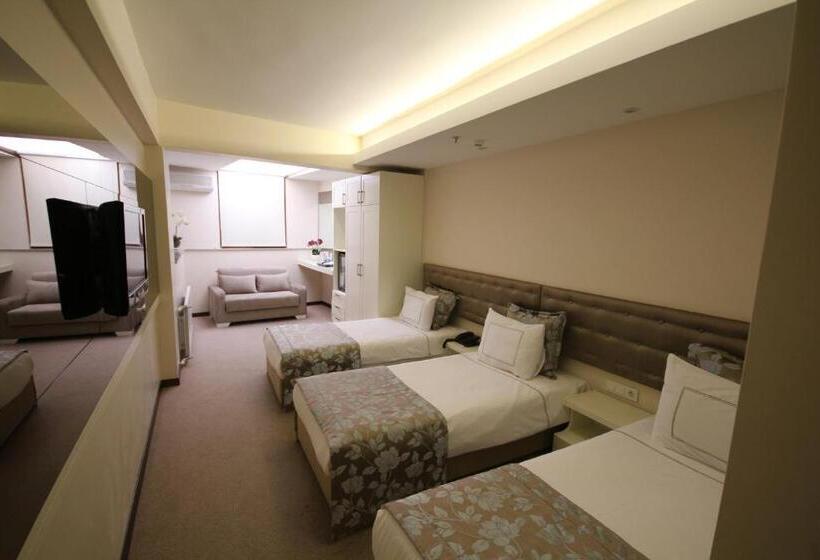اتاق استاندارد سه نفره, Grand Washington