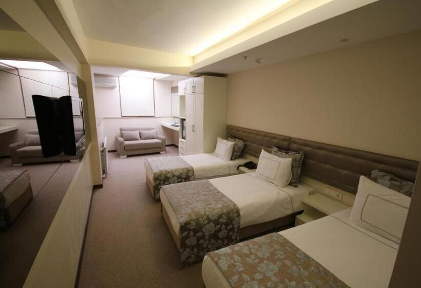 اتاق استاندارد سه نفره, Grand Washington