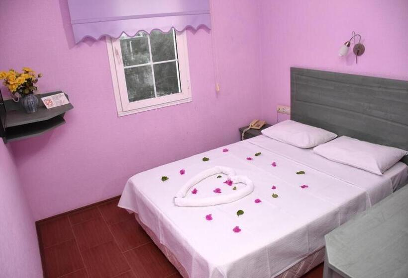 غرفة قياسية, Seckin Best