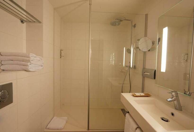 컴포트 룸, Best Western Plus D Europe Et D Angleterre