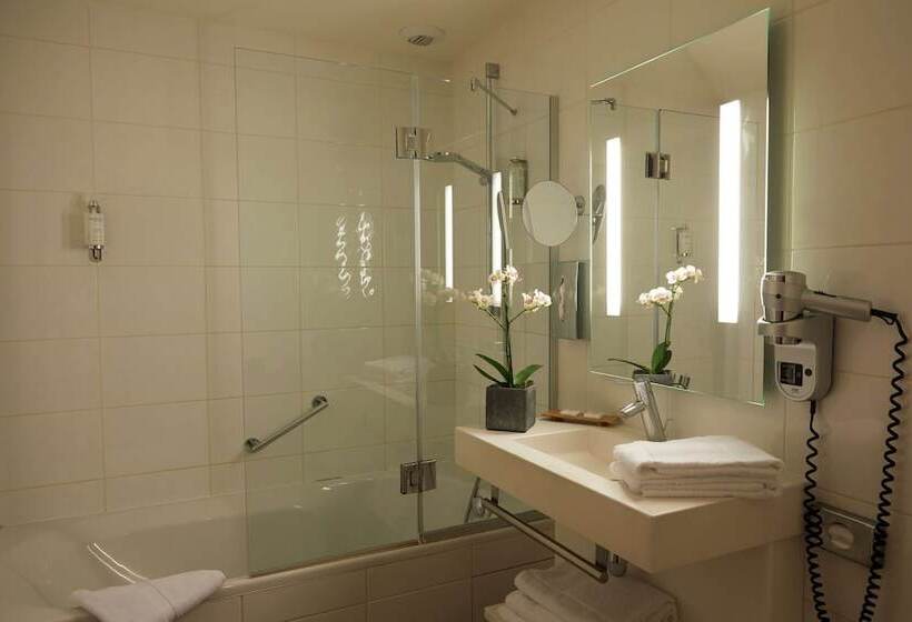 이그제큐티브 룸, Best Western Plus D Europe Et D Angleterre