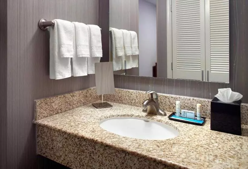 キングサイズベッドのスイートルーム, Courtyard By Marriott Fayetteville
