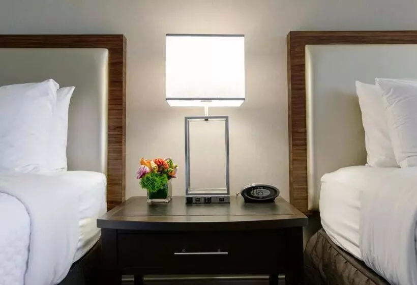 スタンダードルーム, Crowne Plaza Atlanta  Midtown, An Ihg