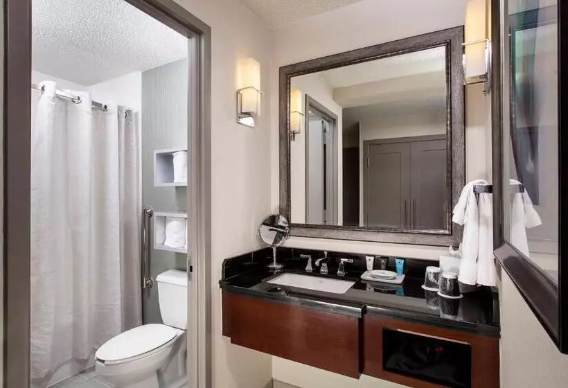 身障者適用スタンダードルーム, Crowne Plaza Atlanta  Midtown, An Ihg