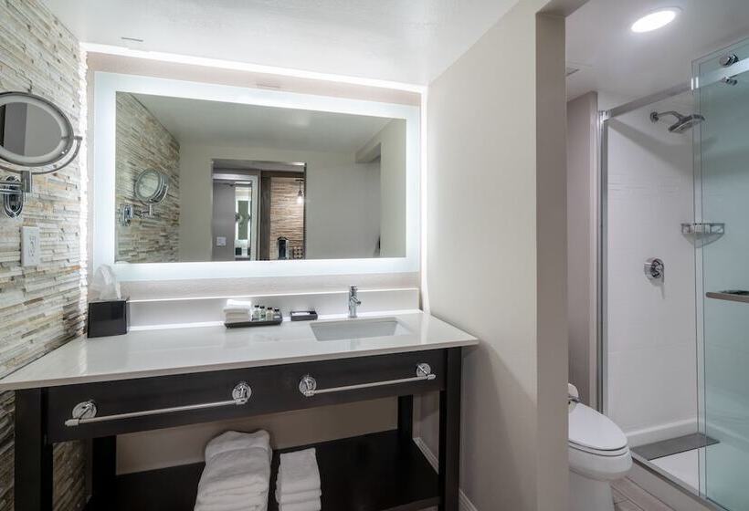Номер Стандарт, Crowne Plaza Atlanta Sw   Peachtree City, An Ihg