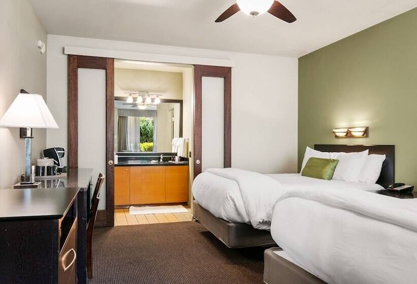 غرفة قياسية مزوَّدة بتراس, Flanigan`s Resort And Spa