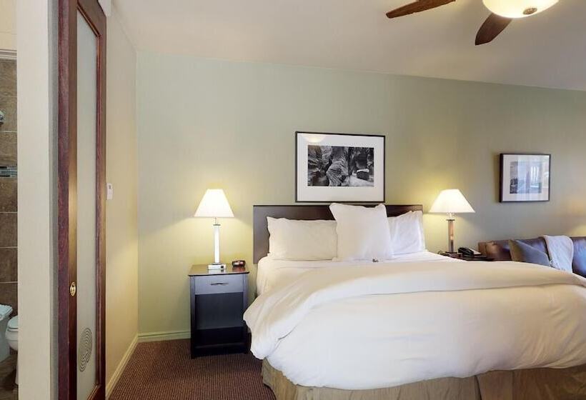 غرفة قياسية, Flanigan`s Resort And Spa