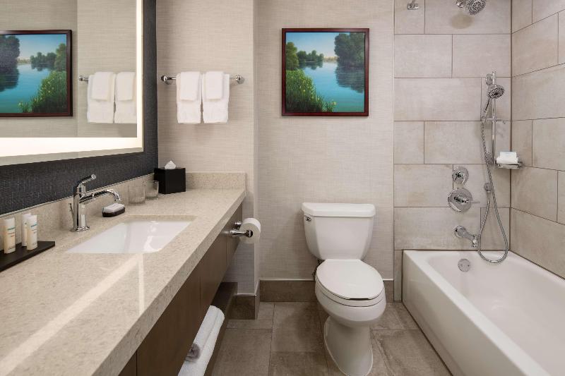 キングサイズベッドのスタンダードルーム, Hampton Inn Rock Hill
