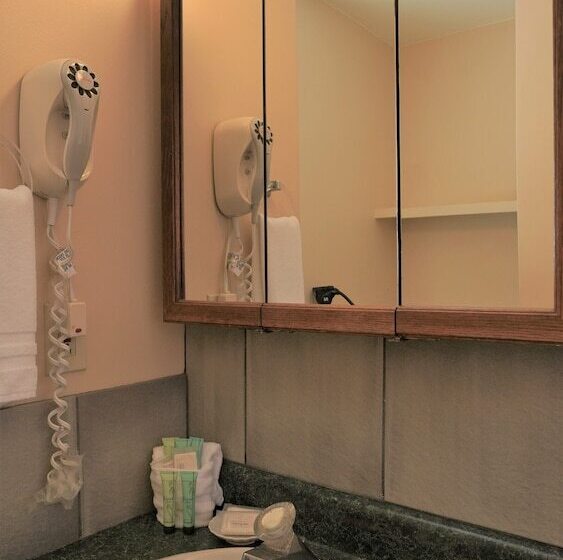 غرفة قياسية, Kauai Inn