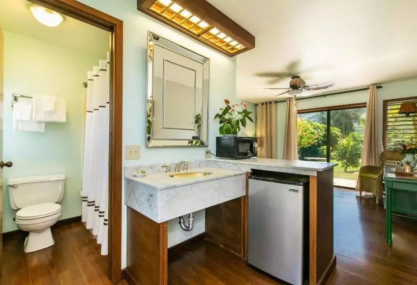 اتاق استاندارد با تخت بزرگ, Kauai Inn