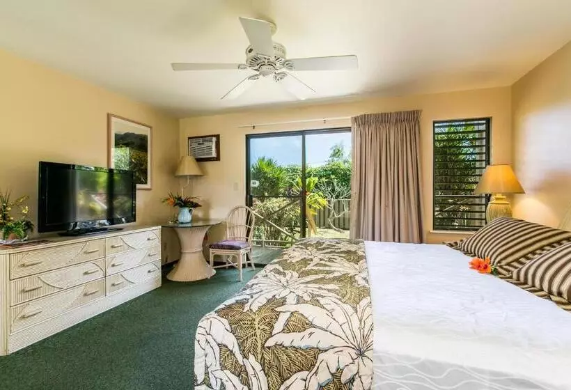 اتاق استاندارد با تخت بزرگ, Kauai Inn