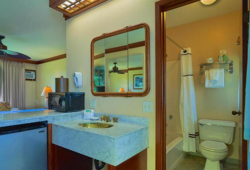 غرفة ديلوكس سرير كينج, Kauai Inn