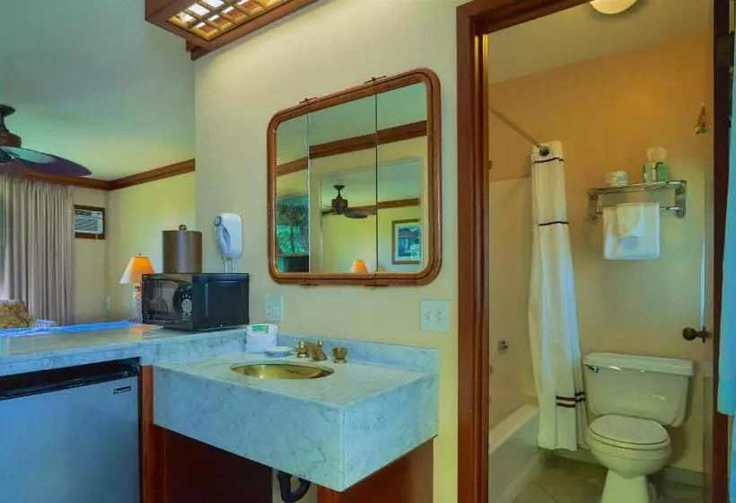 اتاق لوکس با تخت بزرگ, Kauai Inn