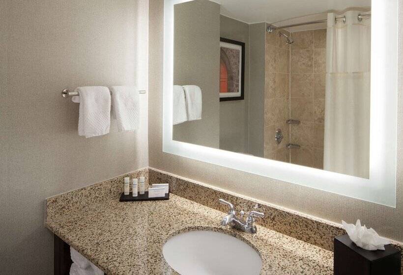 סוויטת 2 חדרי שינה, Embassy Suites By Hilton Philadelphia Airport