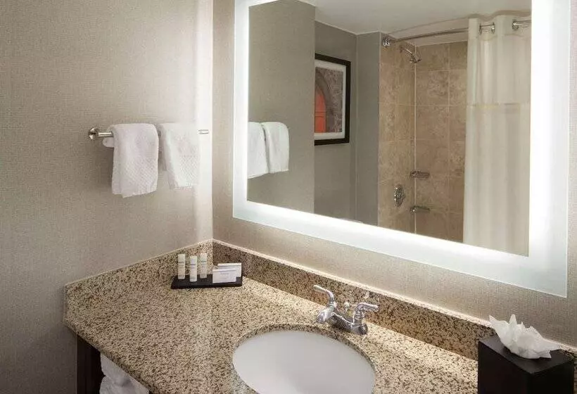 سوئیت 2 خوابه, Embassy Suites By Hilton Philadelphia Airport