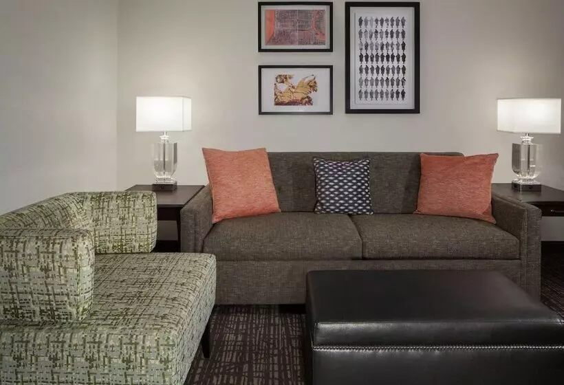 سوئیت پریمیوم 2 خوابه, Embassy Suites By Hilton Philadelphia Airport