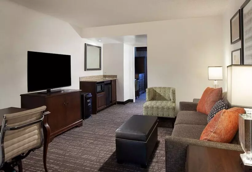 سوئیت پریمیوم 2 خوابه, Embassy Suites By Hilton Philadelphia Airport