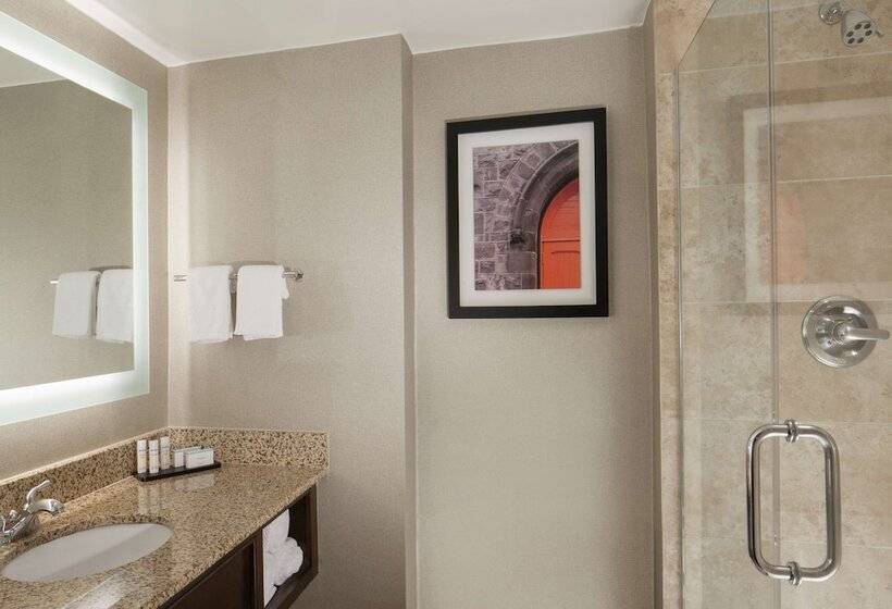 סוויטת פרמיום 2 חדרים, Embassy Suites By Hilton Philadelphia Airport