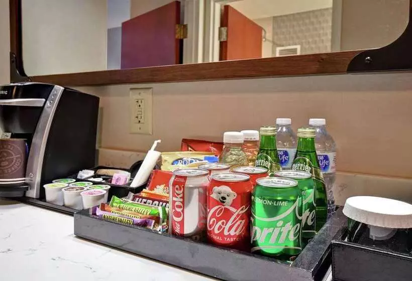 キングサイズベッドのスタンダードルーム, Embassy Suites Little Rock
