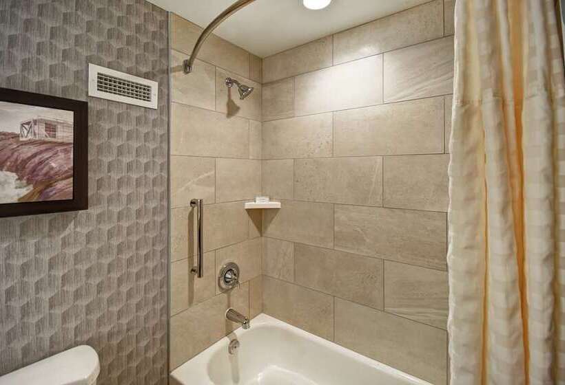 Люкс Премиум, Embassy Suites Little Rock