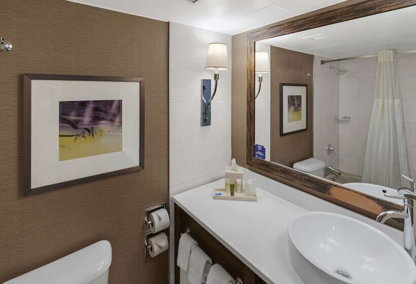 غرفه قياسيه سريرين مزدوجين, Hilton Harrisburg