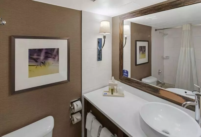 اتاق استاندارد با 2 تخت دوبل, Hilton Harrisburg