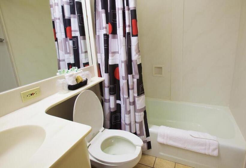 غرفة قياسية, Rutgers University Inn And Conference Center