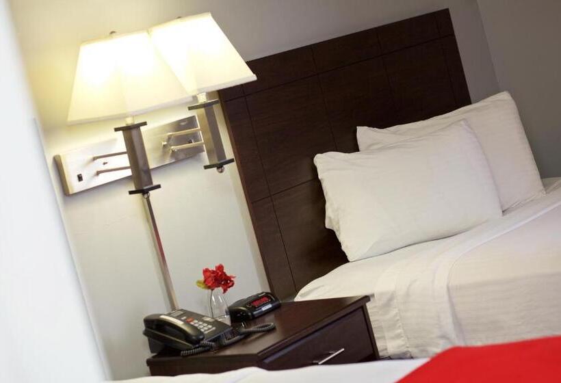 غرفة قياسية, Rutgers University Inn And Conference Center