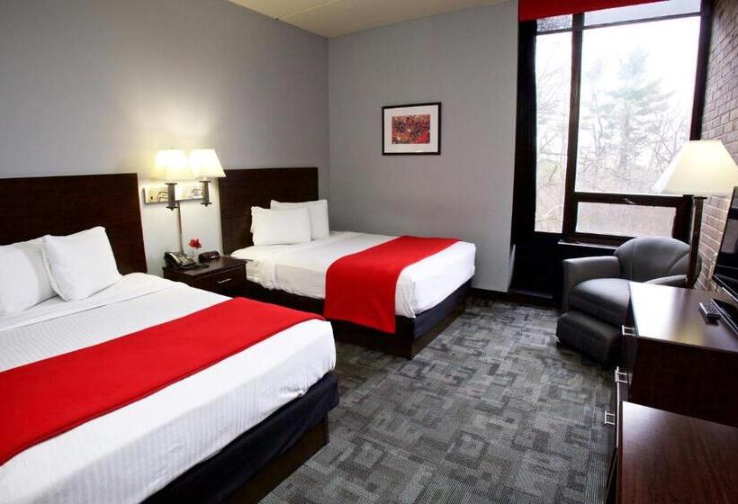 غرفة قياسية, Rutgers University Inn And Conference Center