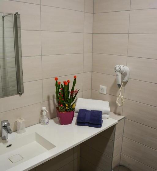 غرفة سوبيريور, Sud Hôtel