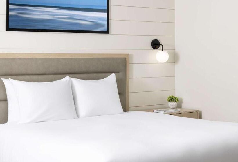 חדר סטנדרט, The Pell, Part Of Jdv By Hyatt