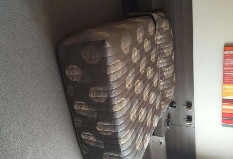 חדר דלוקס, Alexander The Great Motel