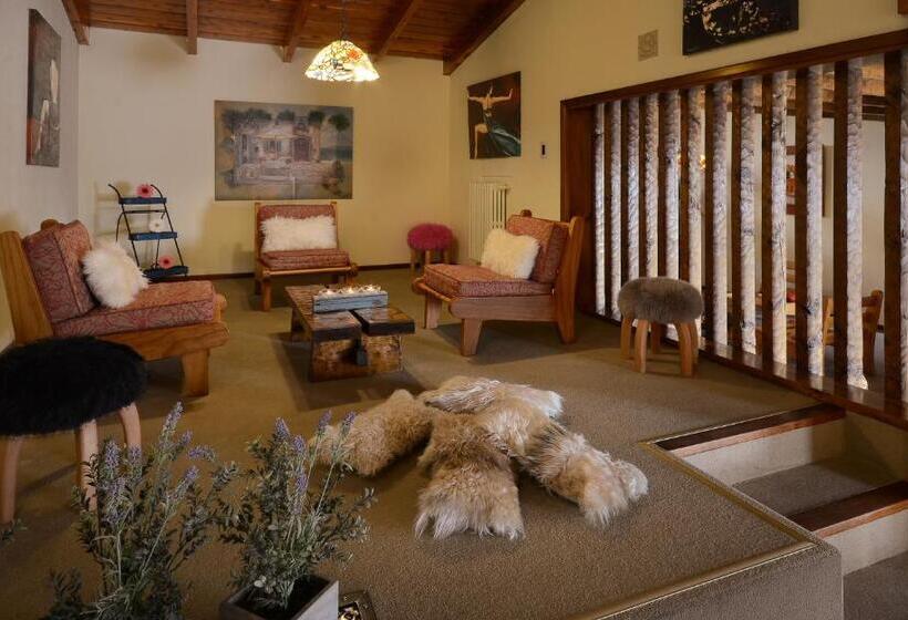 シティビュースタンダードシングルルーム, Aconcagua