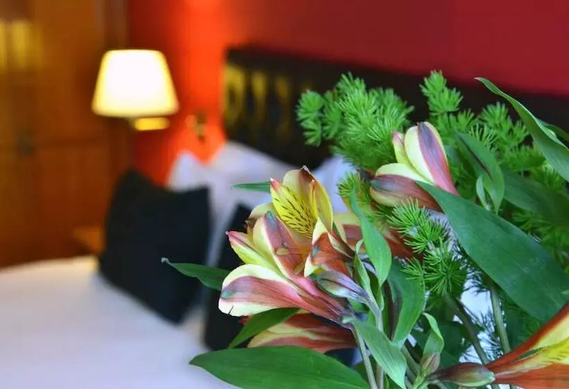 اتاق استاندارد, Centuria Hotel Buenos Aires