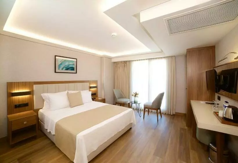 スタンダードルーム, Erboy Hotel Istanbul Sirkeci