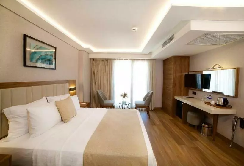スタンダードルーム, Erboy Hotel Istanbul Sirkeci