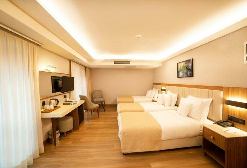 اتاق استاندارد سه نفره, Erboy Hotel Istanbul Sirkeci
