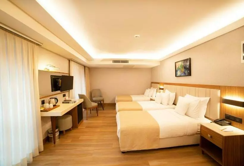 スタンダードトリプルルーム, Erboy Hotel Istanbul Sirkeci