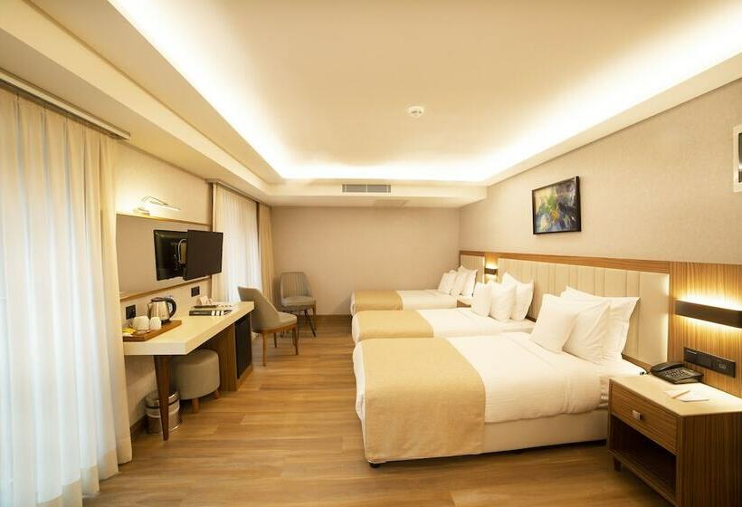 スタンダードトリプルルーム, Erboy Hotel Istanbul Sirkeci