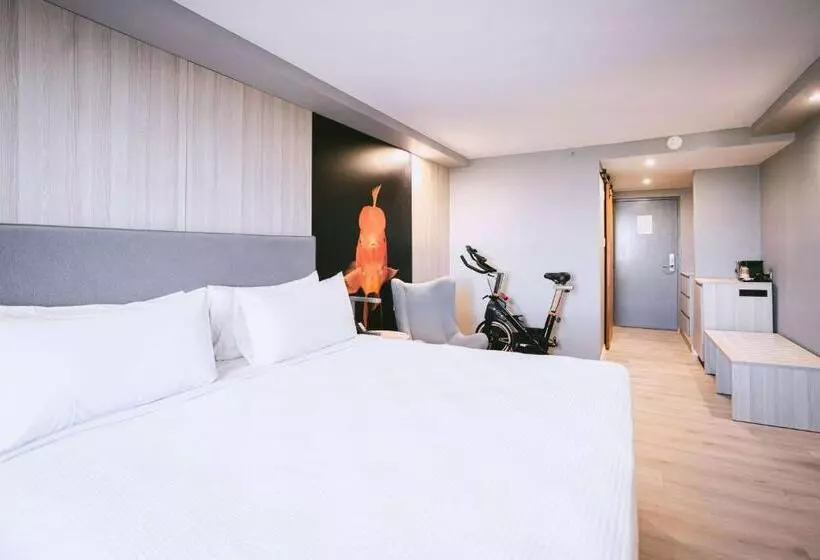 キングサイズベッドのスタンダードルーム, Tryp by Wyndham Aruba - Adults Only