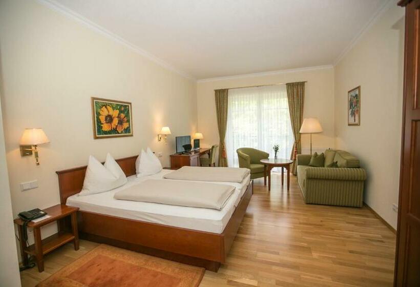 スタンダードルーム, Seehotel Billroth