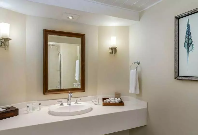 سوییت با چشم‌انداز دریا, Turtle Beach By Elegant Hotels   All Inclusive