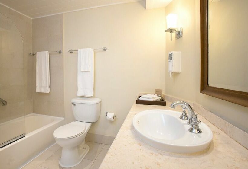 سوییت با چشم‌انداز دریا, Turtle Beach By Elegant Hotels   All Inclusive