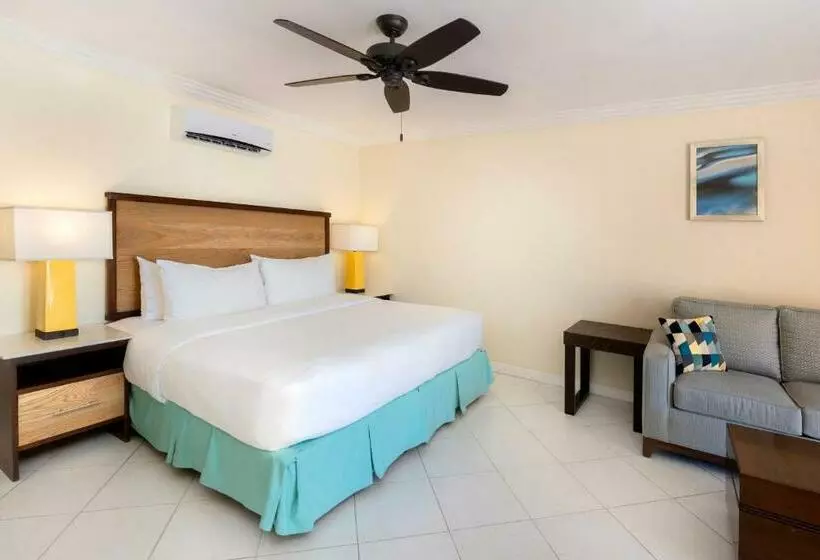 سوییت جونیور لوکس با چشم‌انداز دریا, Turtle Beach By Elegant Hotels   All Inclusive