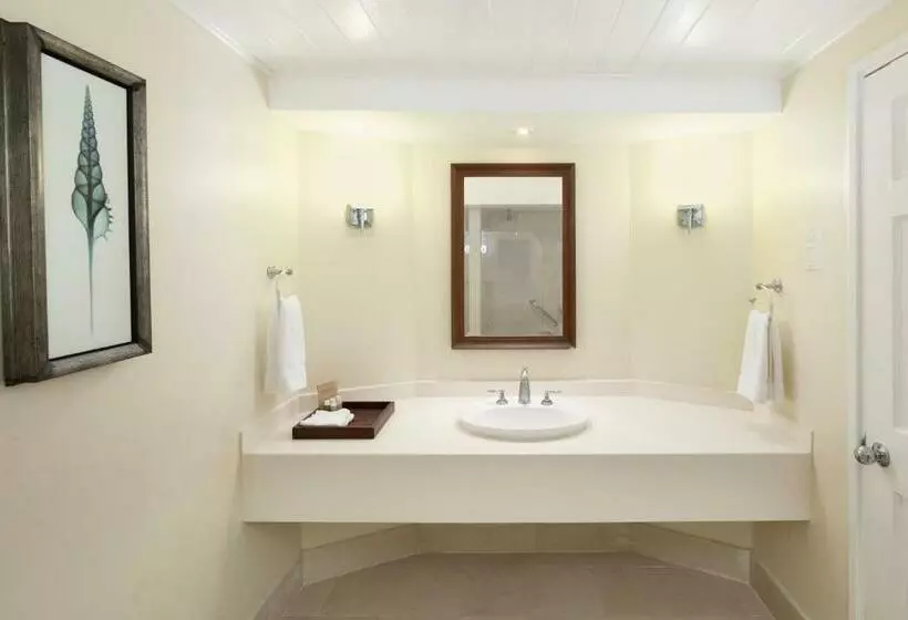 سوییت با چشم‌انداز باغ, Turtle Beach By Elegant Hotels   All Inclusive